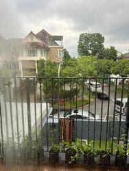 Eden Park (D10), Semi-Detached #445140141